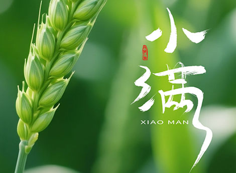 上海广告设计公司-小满未满，创意正盛